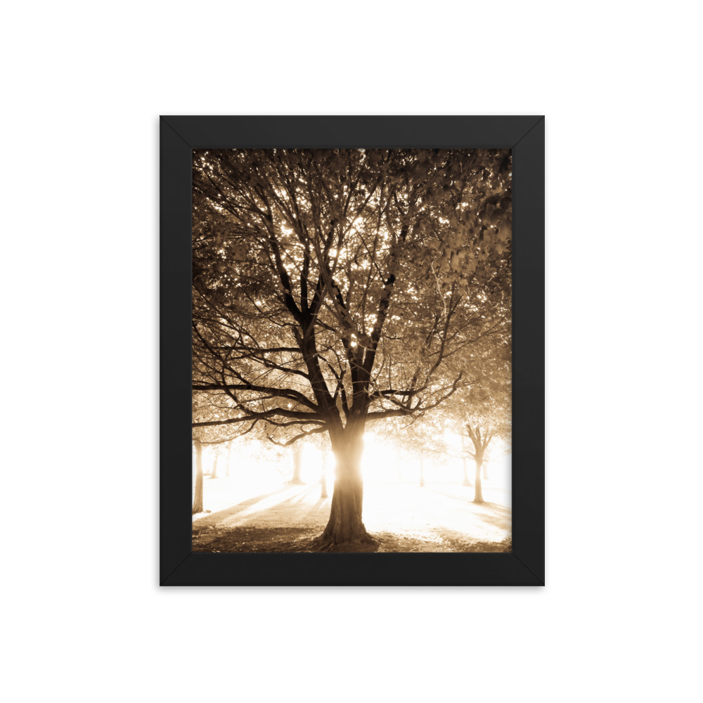 Light through Life Black &White – Framed photo paper poster