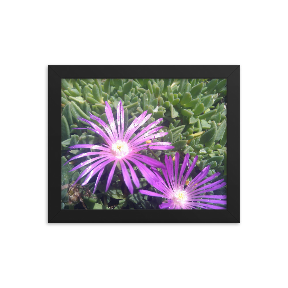Purple Flowers in the Grass – Framed poster